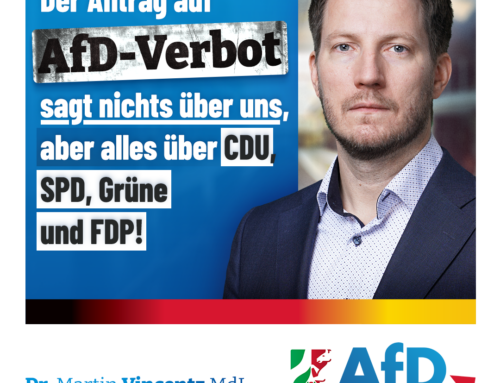 Union und Linke tüfteln AfD-Verbot aus